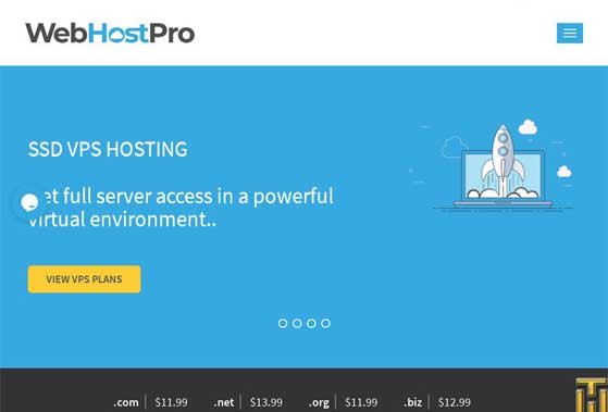 Web Host Pro